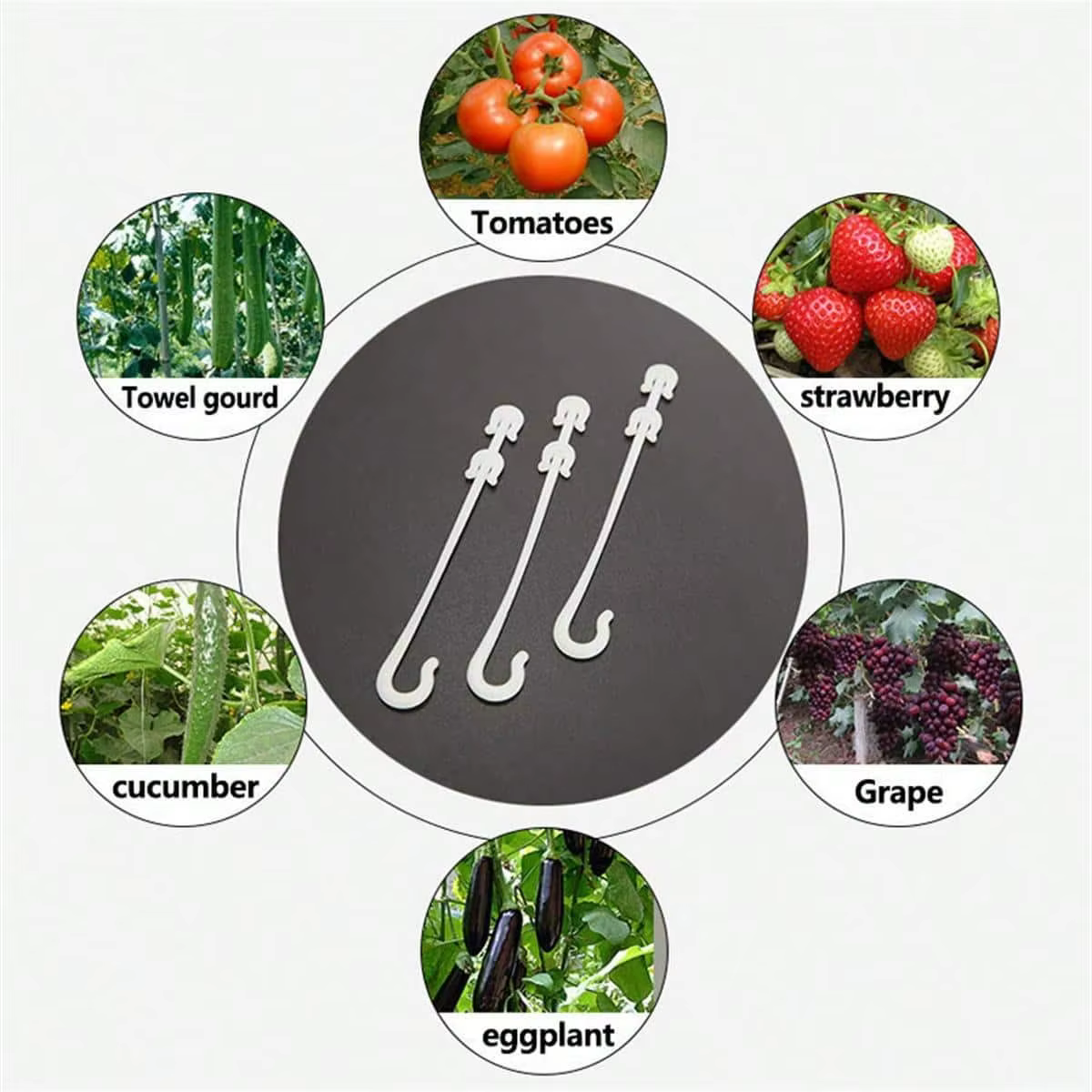 Lot de 20 crochets pour plantes et fruits