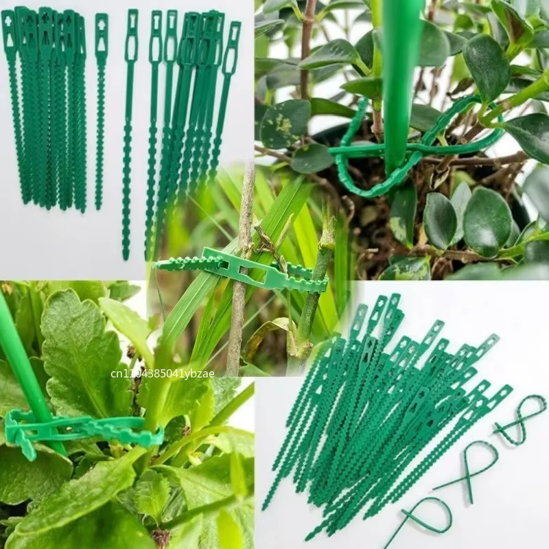 Attaches de câble réglables en plastique pour plantes