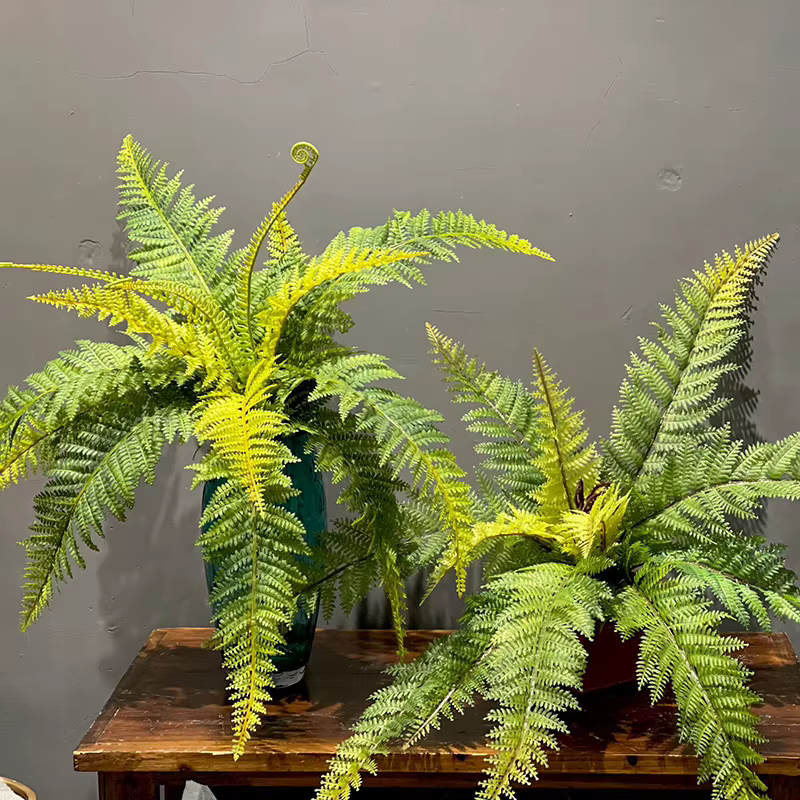 Plantes artificielles de fougère Boston