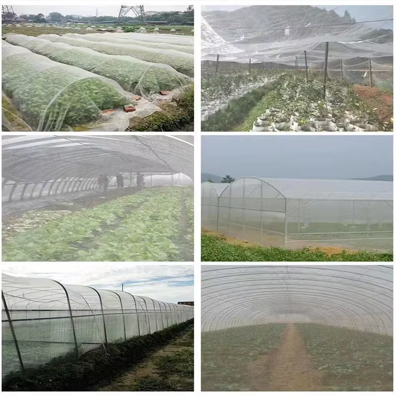 Filet de protection pour plantes de jardin
