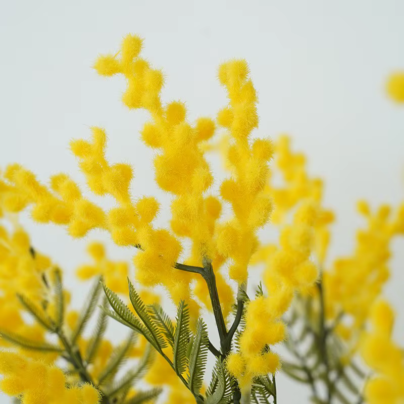 Fausses fleurs artificielles en acacia
