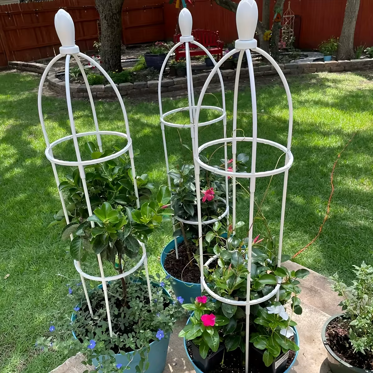 Support pour plantes en treillis de jardin