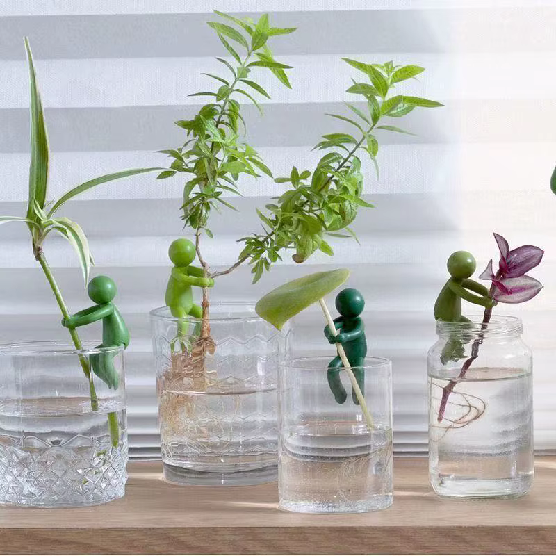 Ornement de compagnie pour la croissance des plantes hydroponiques