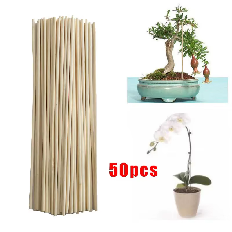 50 pièces bâtons de bambou plante de jardin Support fleur bâton canne outil de jardinage pour maison
