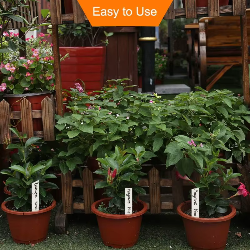 100 étiquettes de plantes de jardin pour l'extérieur