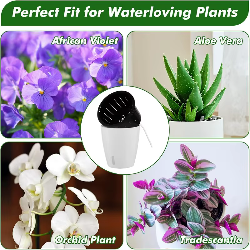 Pots de plantes d'intérieur auto-arrosants avec corde en coton