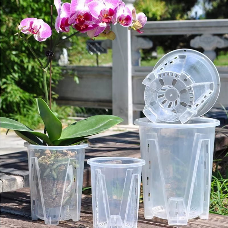 Pots d'orchidées avec stomates
