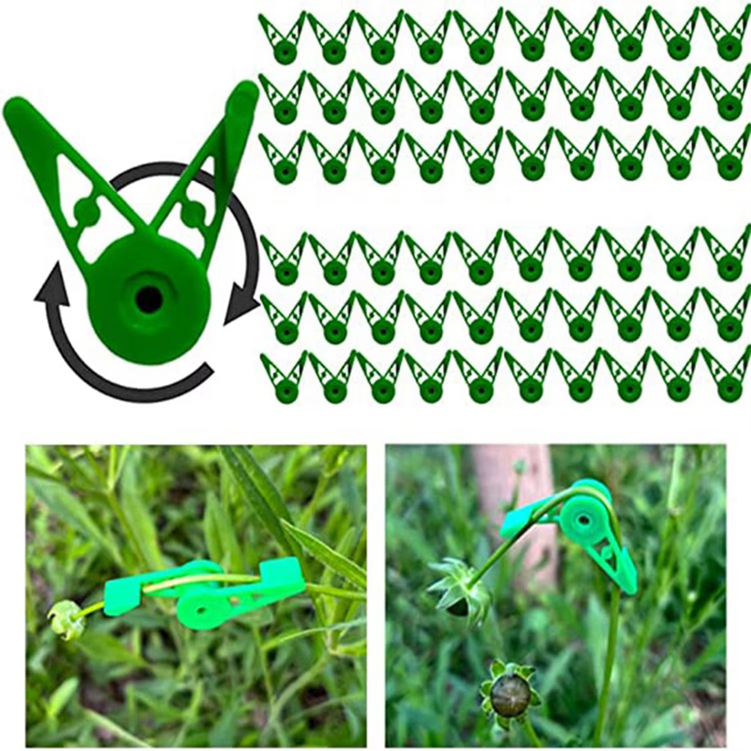 Clips d'entraînement de cintreuse de Branches de plantes