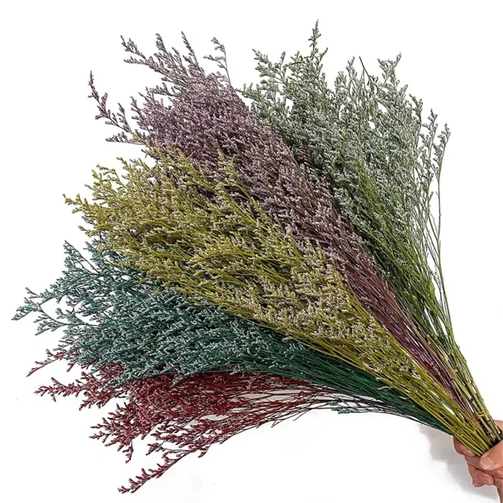 Fleur d'amoureux préservée séchée et naturelle