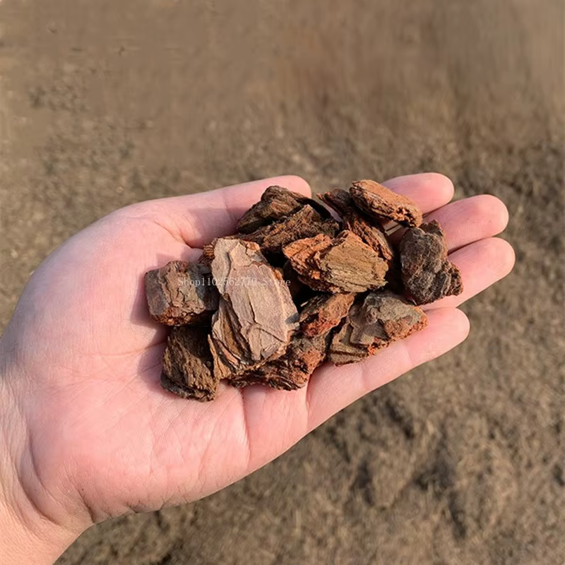 Écorce de pin fermentée