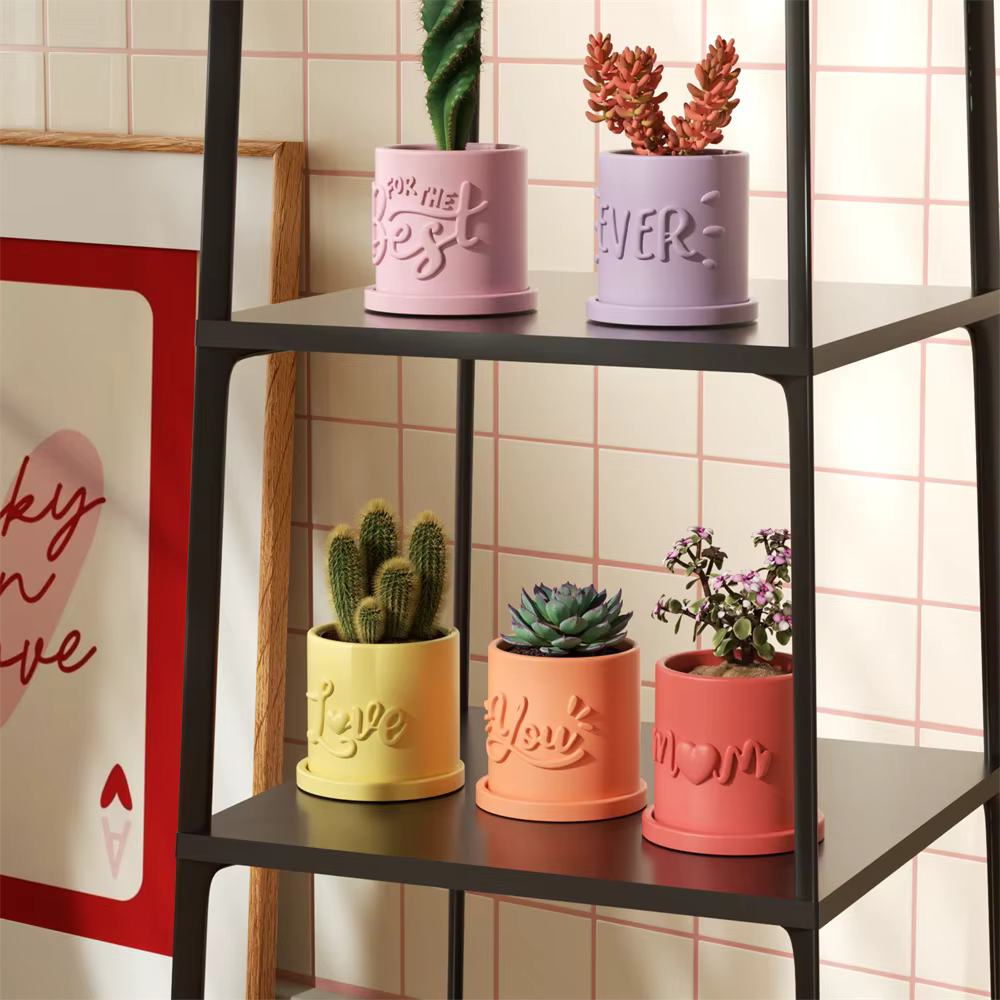 Nicole Pot et plateau pour plantes