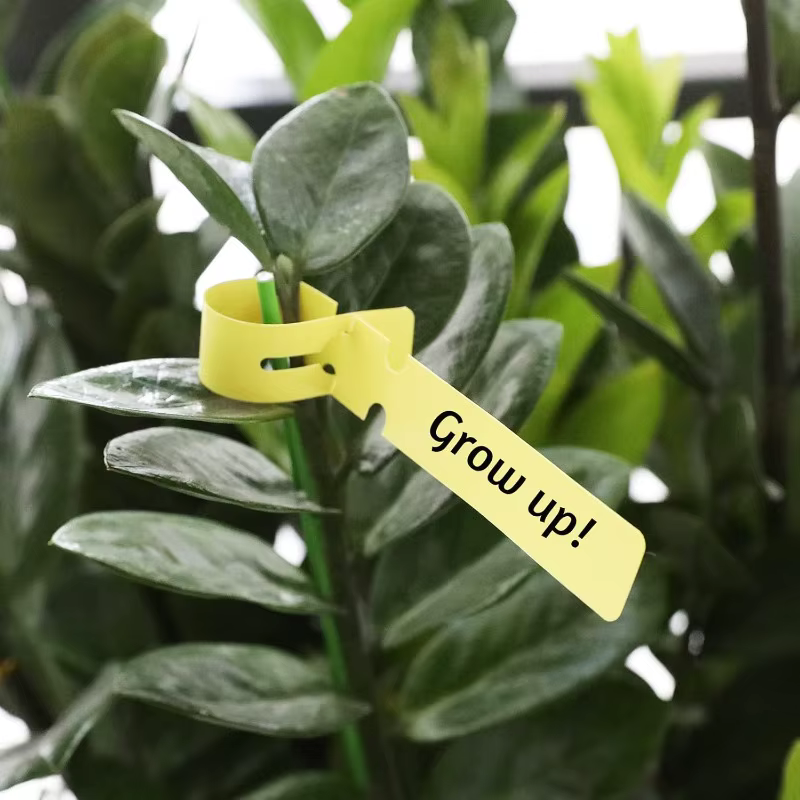 Étiquettes de plantes imperméables en PVC