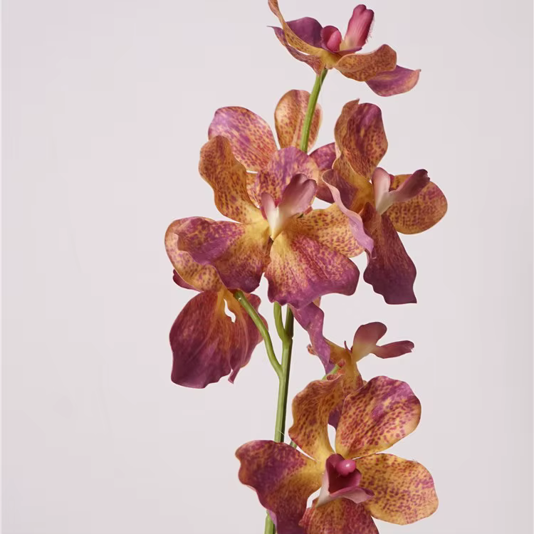 Fleur d'orchidée Vanda artificielle hydratante