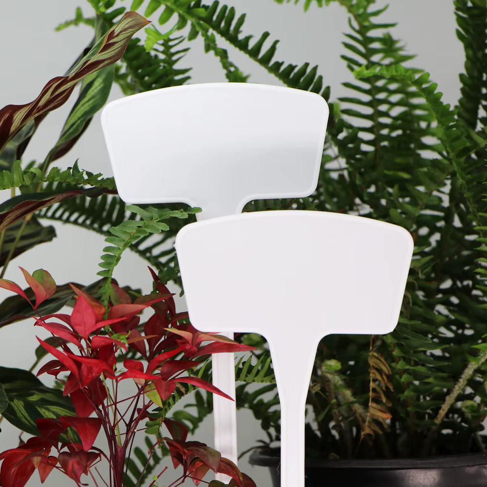 Étiquettes de plantes blanches de type T