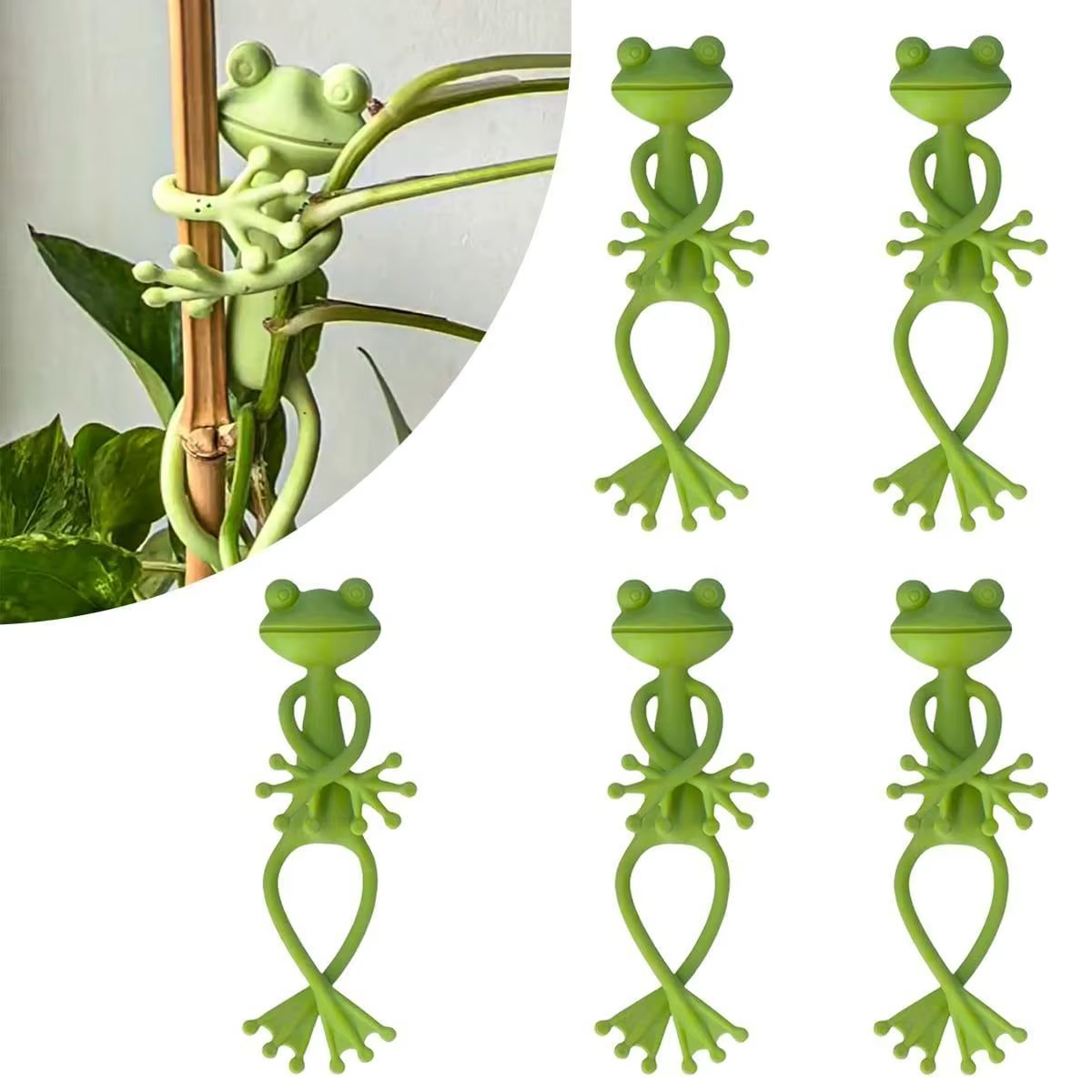 Tutors pour plantes, accessoires de jardin de légumes