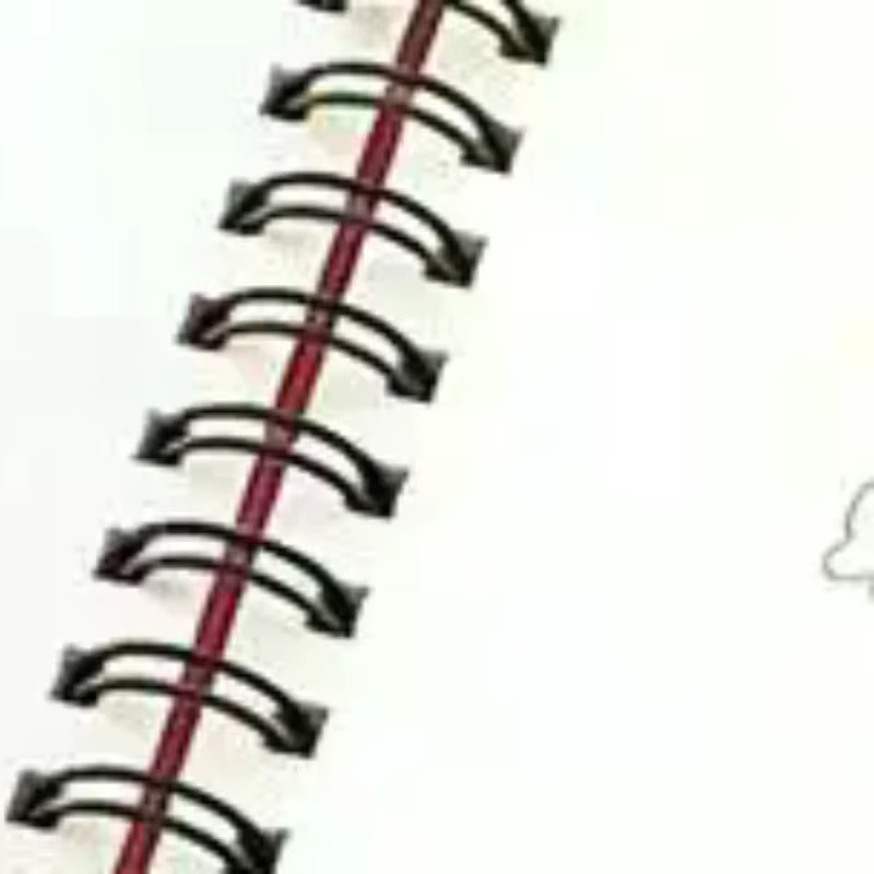 Cahier d'exercices de fleurs en aquarelle à spirale, papier épais, guides faciles pour les débutants, pratique artistique quotidienne