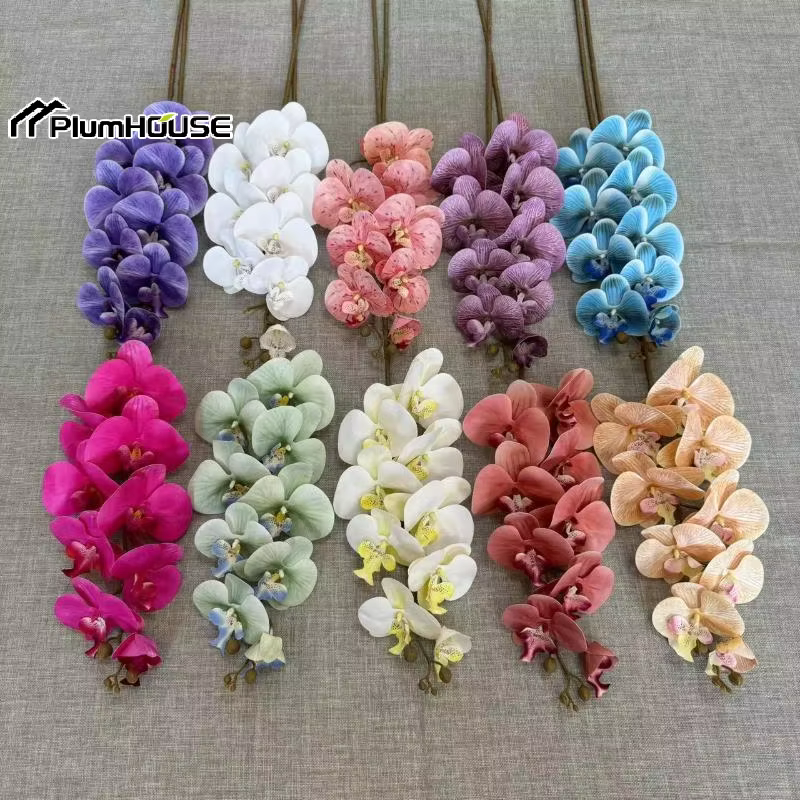 Phalaenopsis artificiel
