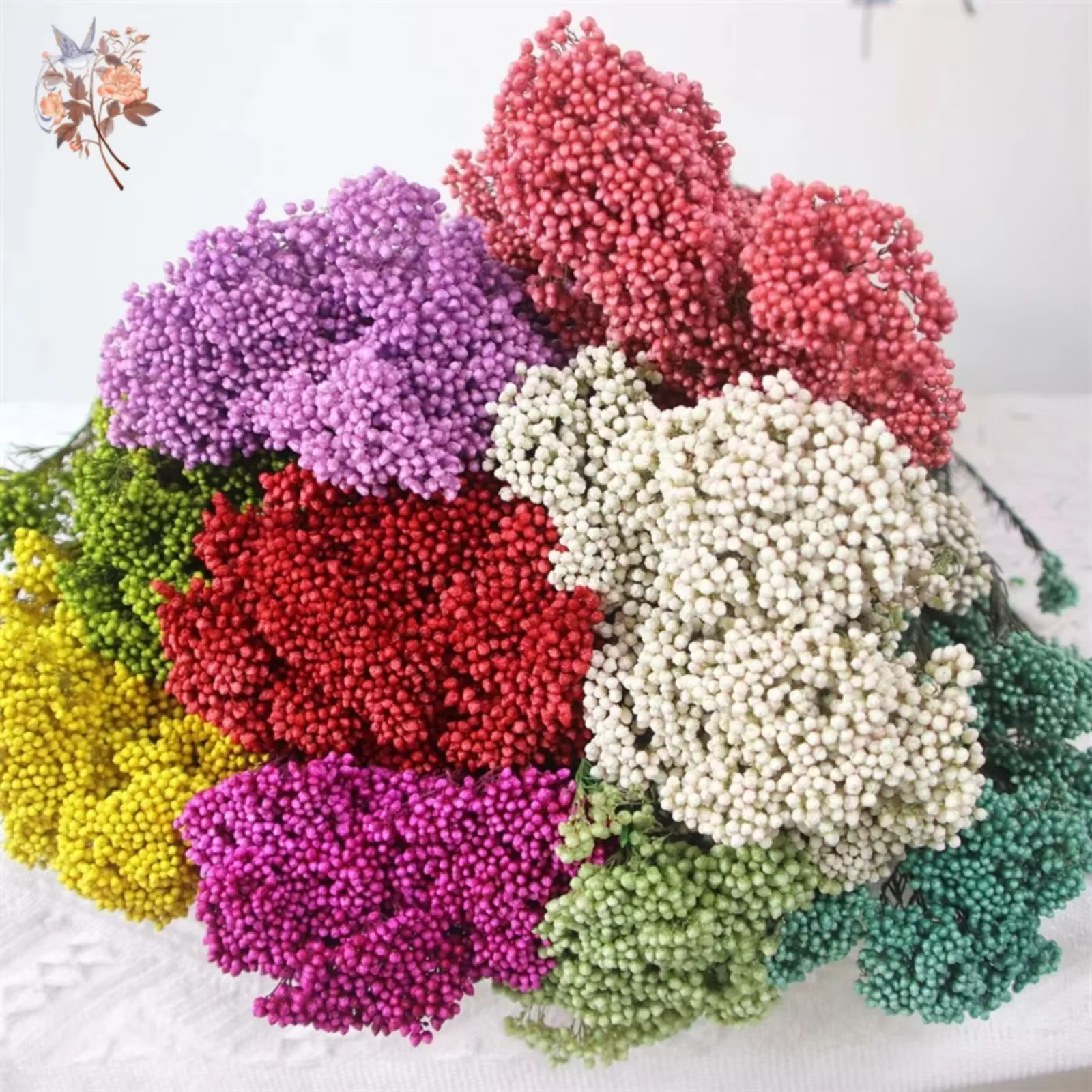 Bouquet de fleurs de riz éternel séchées naturelles