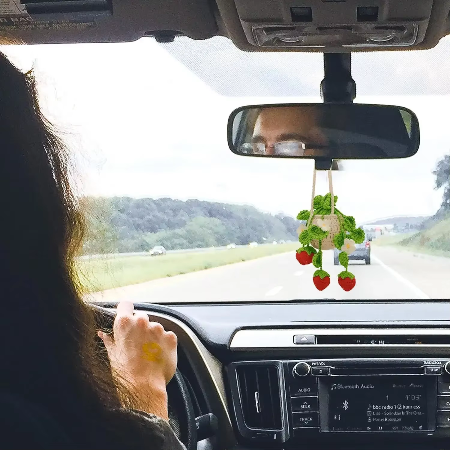 Panier suspendu au Crochet pour plantes de voiture