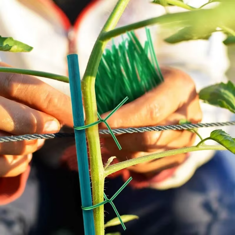 Bâtons de soutien pour plantes