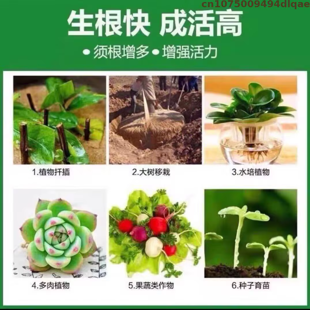 Sel de potassium d'acide indole-3-butyrique (IBA-K) soluble dans l'eau 98% TC - Hormone d'enracinement végétal en poudre pour le jardinage et l'agriculture