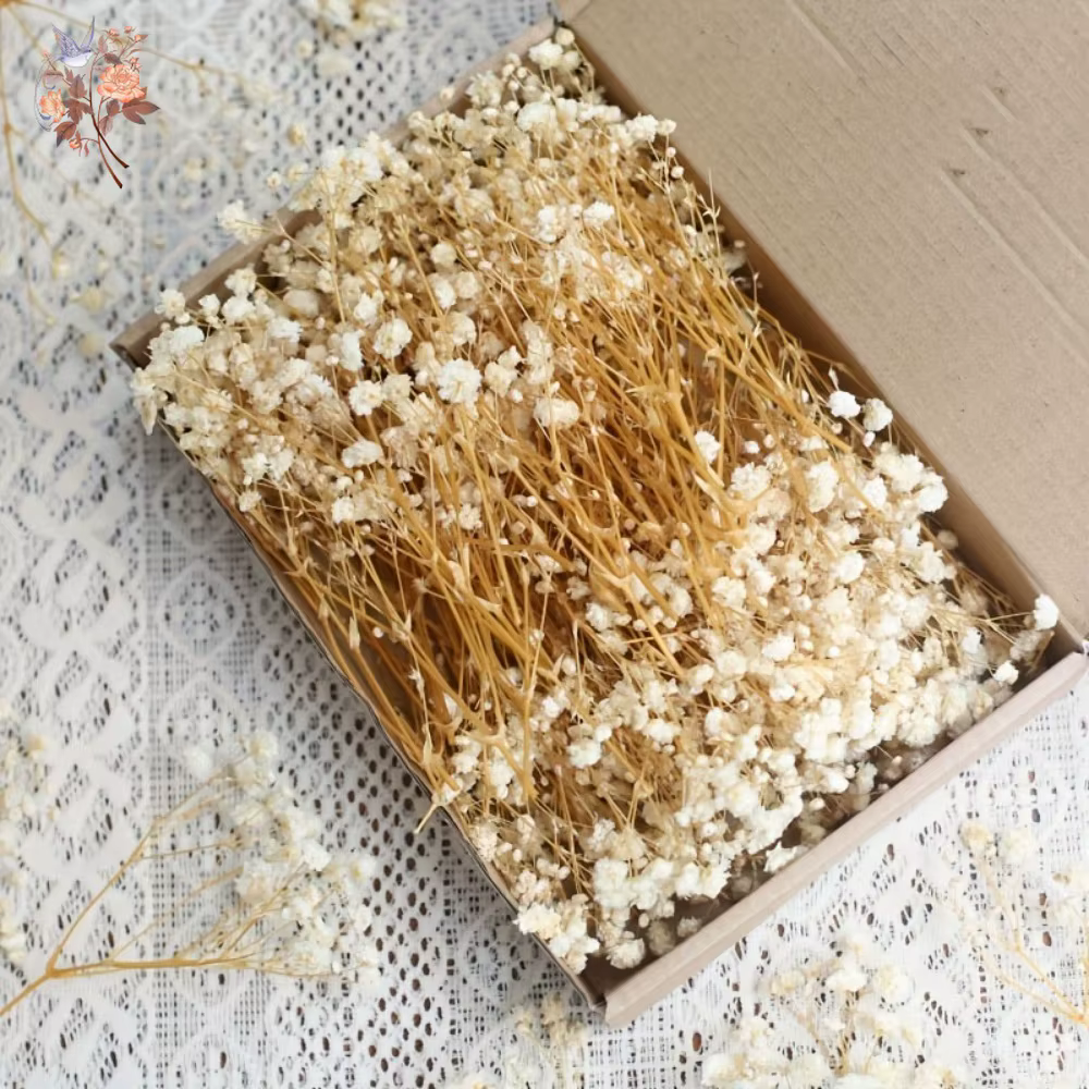 100 pièces Mini fleurs souffle de bébé séchées pour artisanat en résine bricolage décor de mariage à la maison vraie touche gypsophile petit paquet embellir cadeau