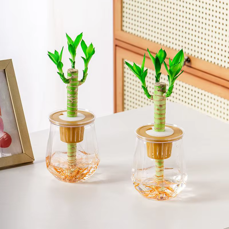 Mini Pot de fleur à arrosage automatique
