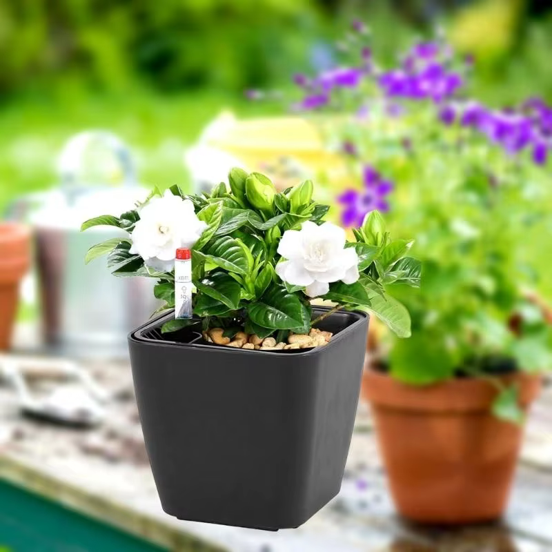 G6KF Planteur à eau auto avec indicateur niveau d'eau Pots fleurs décoratifs pour chambre cuisine Bureau des maisons