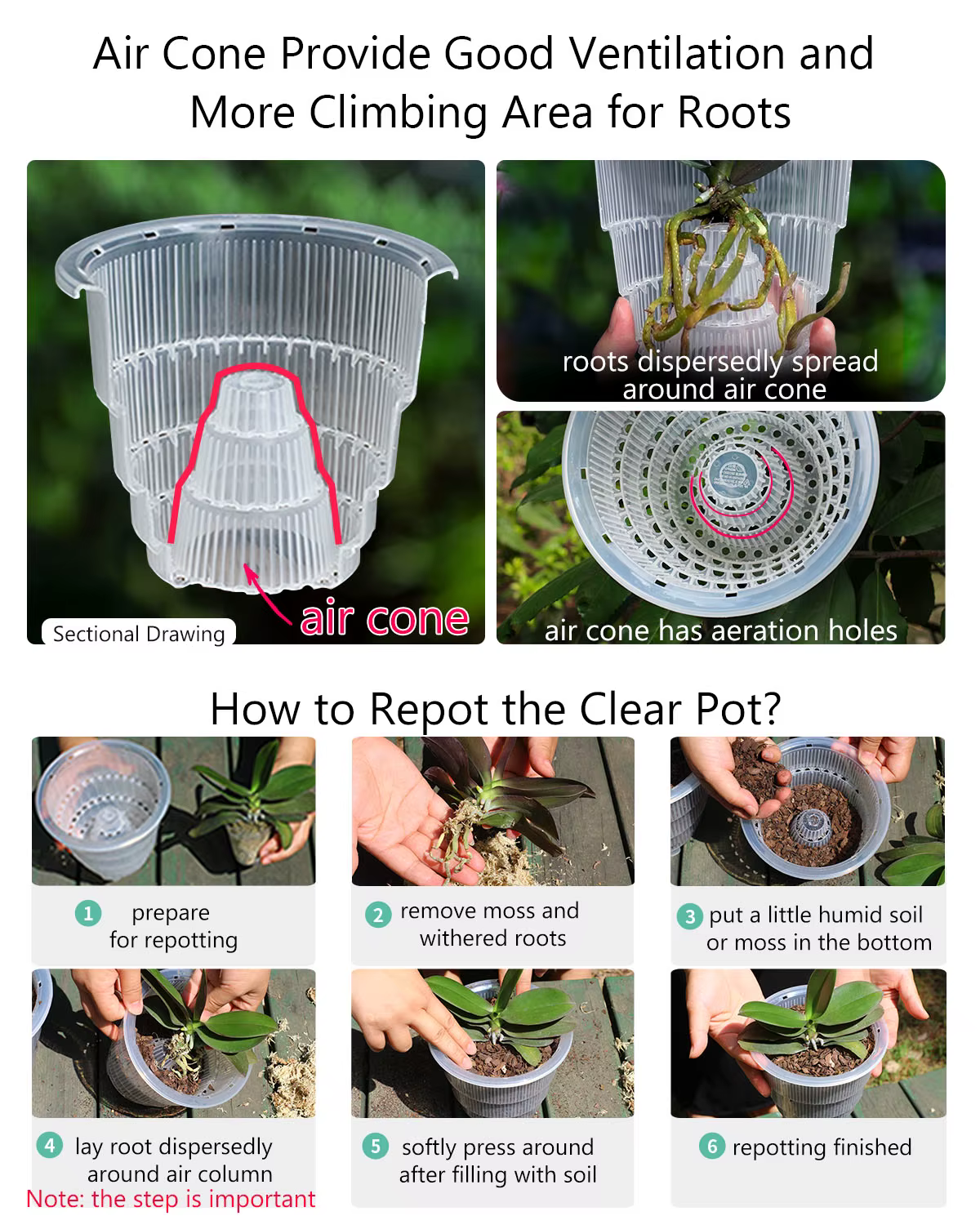 Meshpot-Pots d'orchidées transparents avec trous