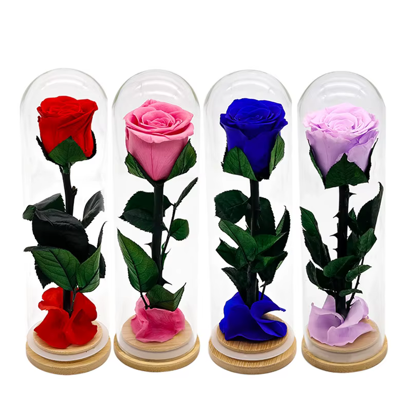 Forever Rose têtes couvercle en verre fini fleurs conservées fête des mères saint valentin anniversaire cadeaux créatifs pour copines