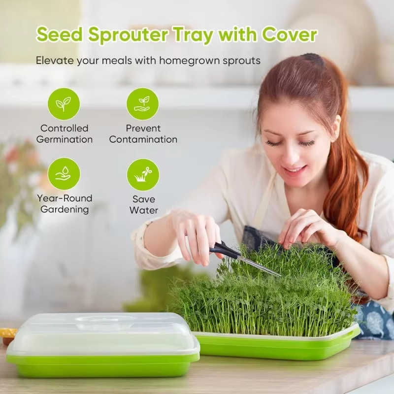 Plaque de germination hydroponique sans sol avec couvercle