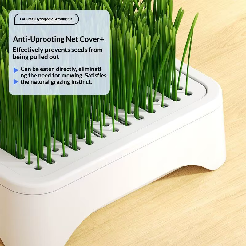 Bac de culture hydroponique pour herbe à chat
