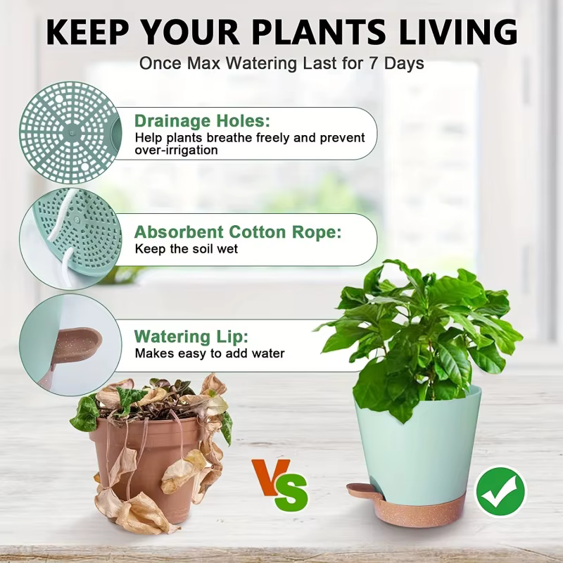 Pots de plantes d'intérieur à arrosage automatique