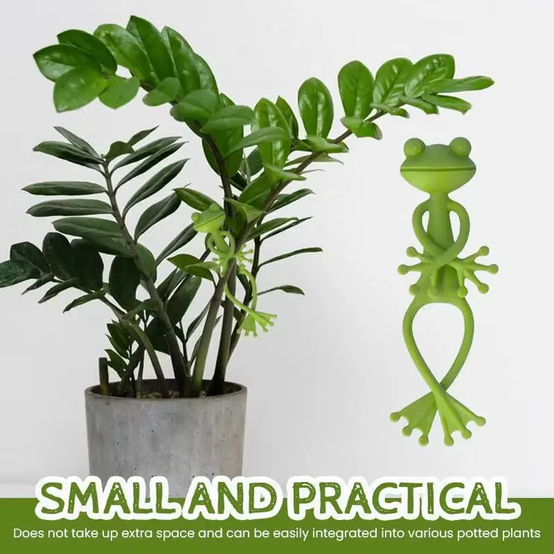 Support pour plantes grenouille