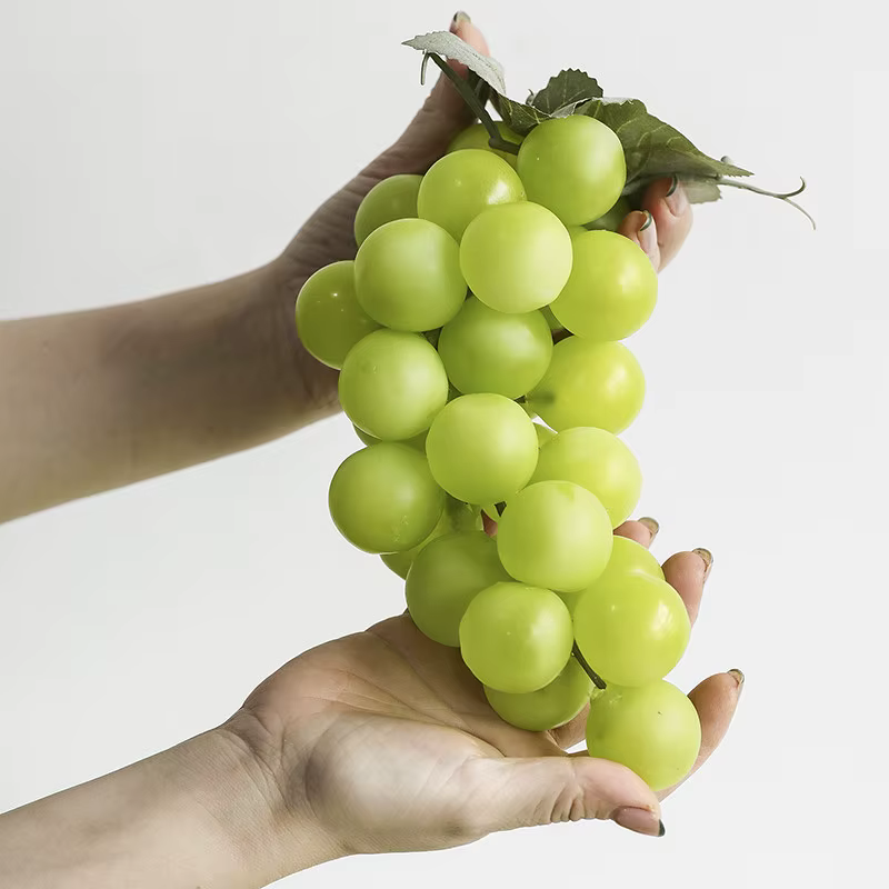 Modèle de raisin vert réaliste Qingwang