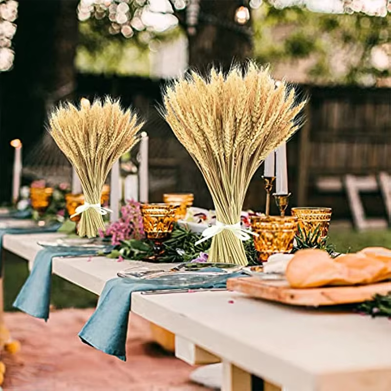 50/100/200 pièces tiges de blé séché fleur naturelle décor à la maison fête mariage ferme hôtel