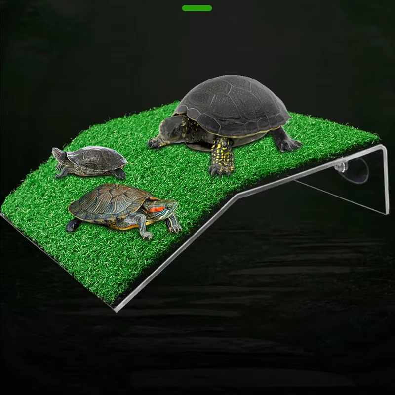 Plate-forme de repos pour tortue, ventouse, simulation Kiev itat, rampe de pelouse, île flottante pour reptiles, accessoire de terrarium, S6