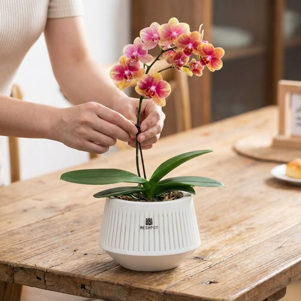 Pot à orchidées en maille de type split