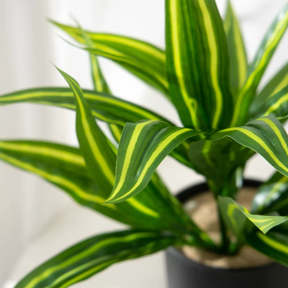 Faux combo d'agave en plastique pour la décoration intérieure et le jardin