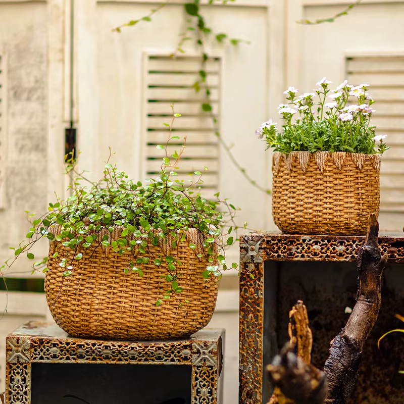 Pot de fleur en rotin tissé rustique