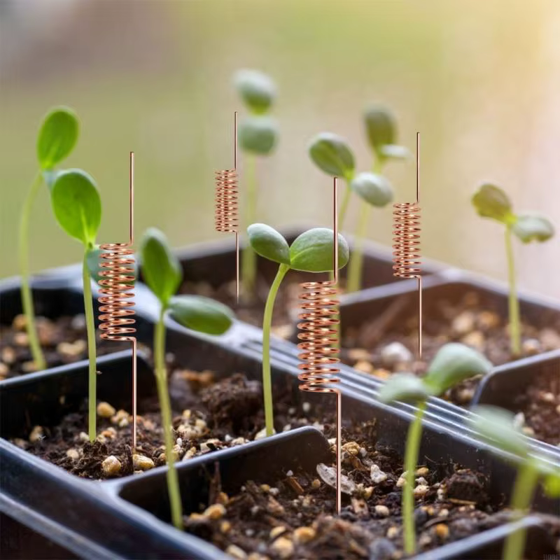 Piquets jardin en cuivre pour améliorer croissance des plantes grâce à technologie d'électroculture, hauteur 30cm