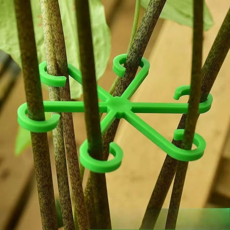 Cadre de Support Anti-vol pour plantes 4 pièces