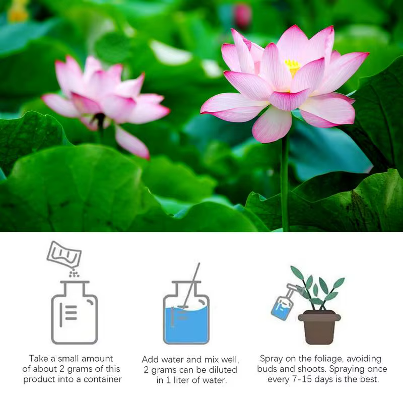 Fertilisateur de floraison de nénuphar naturel