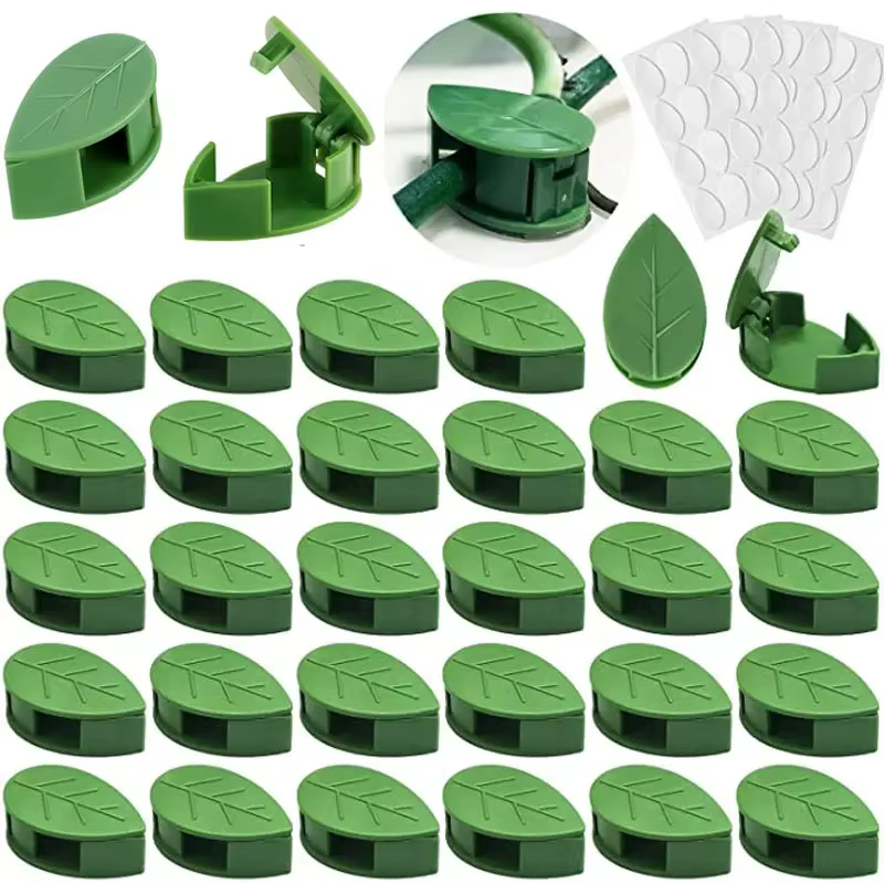 Clips de fixation murale pour plantes grimpantes, autocollant en acrylique, crochet auto-adhésif, support de Traction pour plantes de vigne, décoration intérieure et extérieure