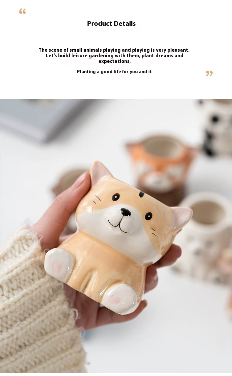 Pot de fleurs charnu mignon de dessin animé Amazon