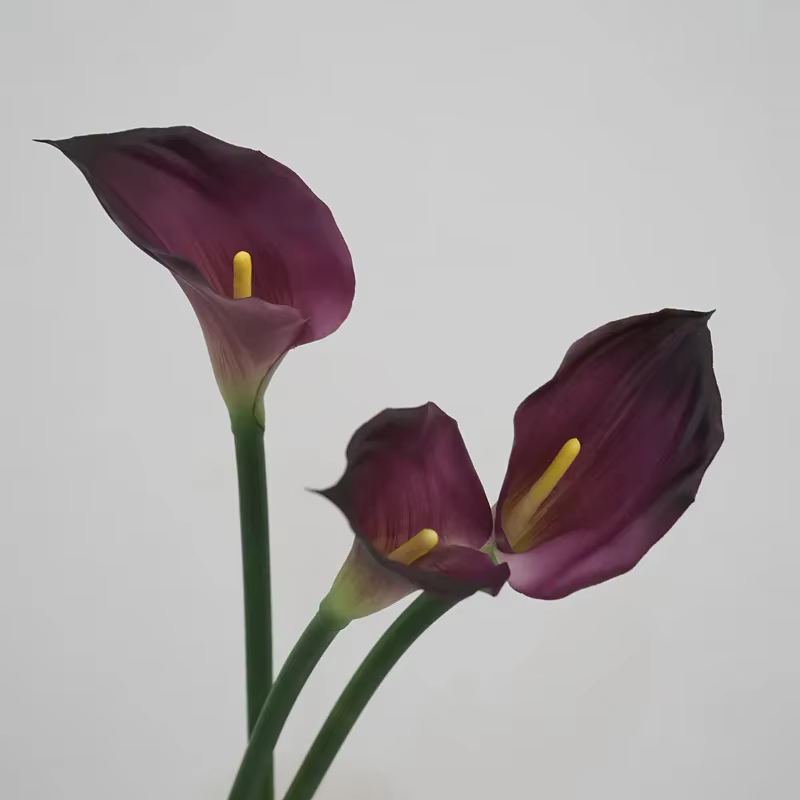 12 pièces Faux Latex Calla Lily fleurs artificielles Bouquet de mariage vraie touche Callas chambre maison décorative fête fleur accessoires