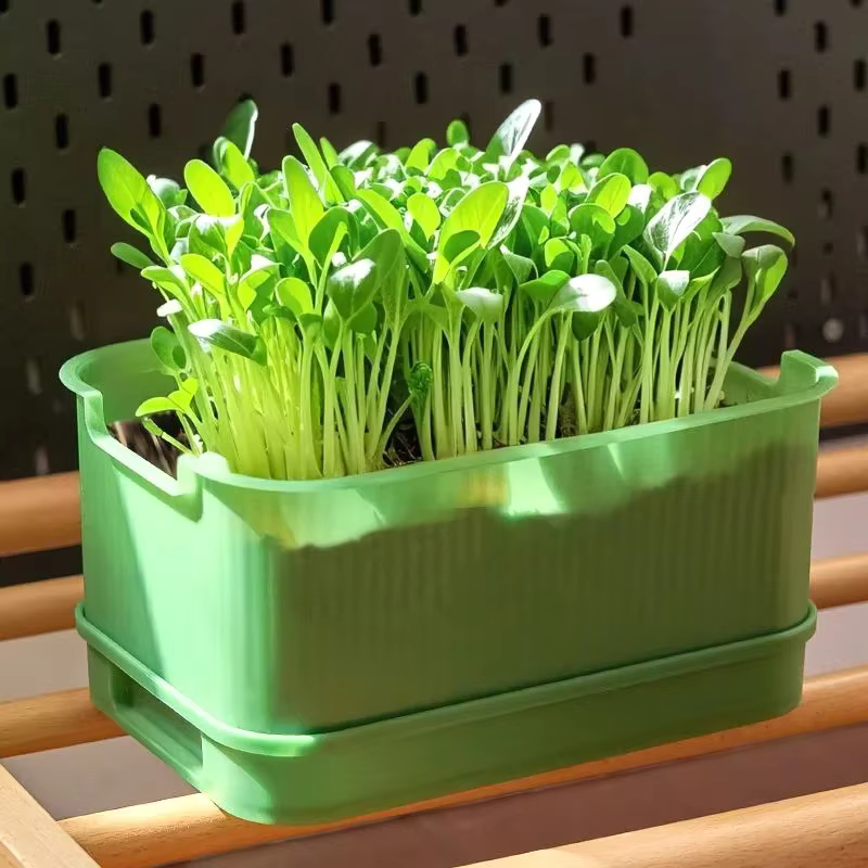 Pot de plantation en plastique pour germination domestique