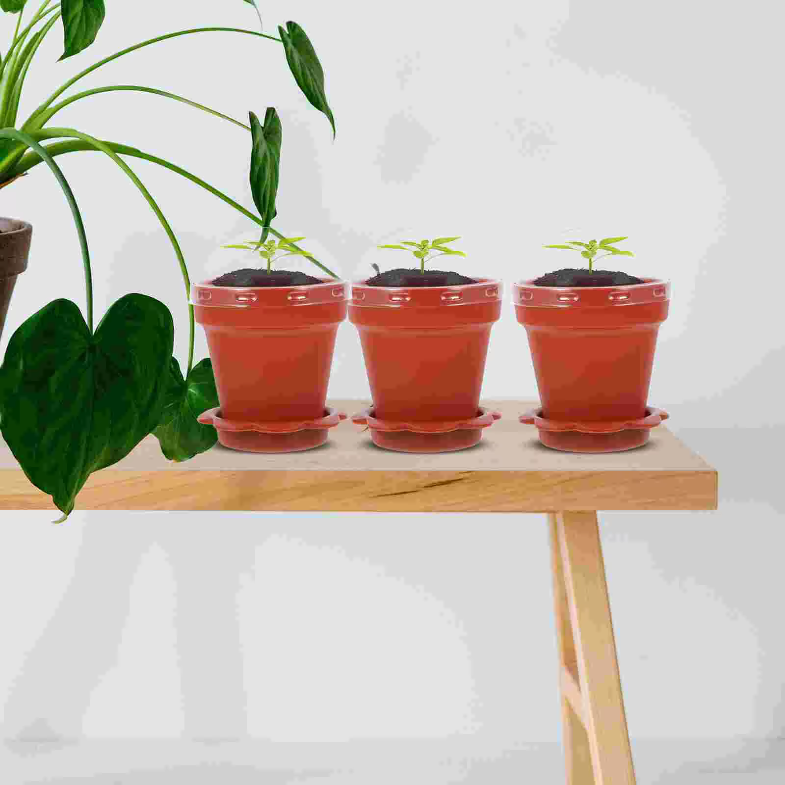Pot de pépinière en plastique pour petits gâteaux