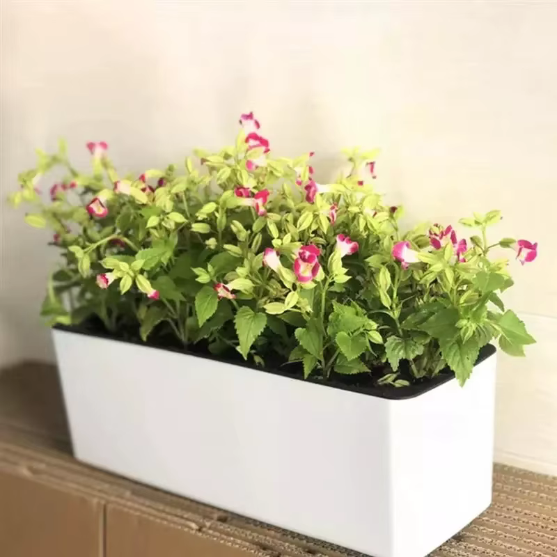 Pot de fleur rectangulaire paresseux