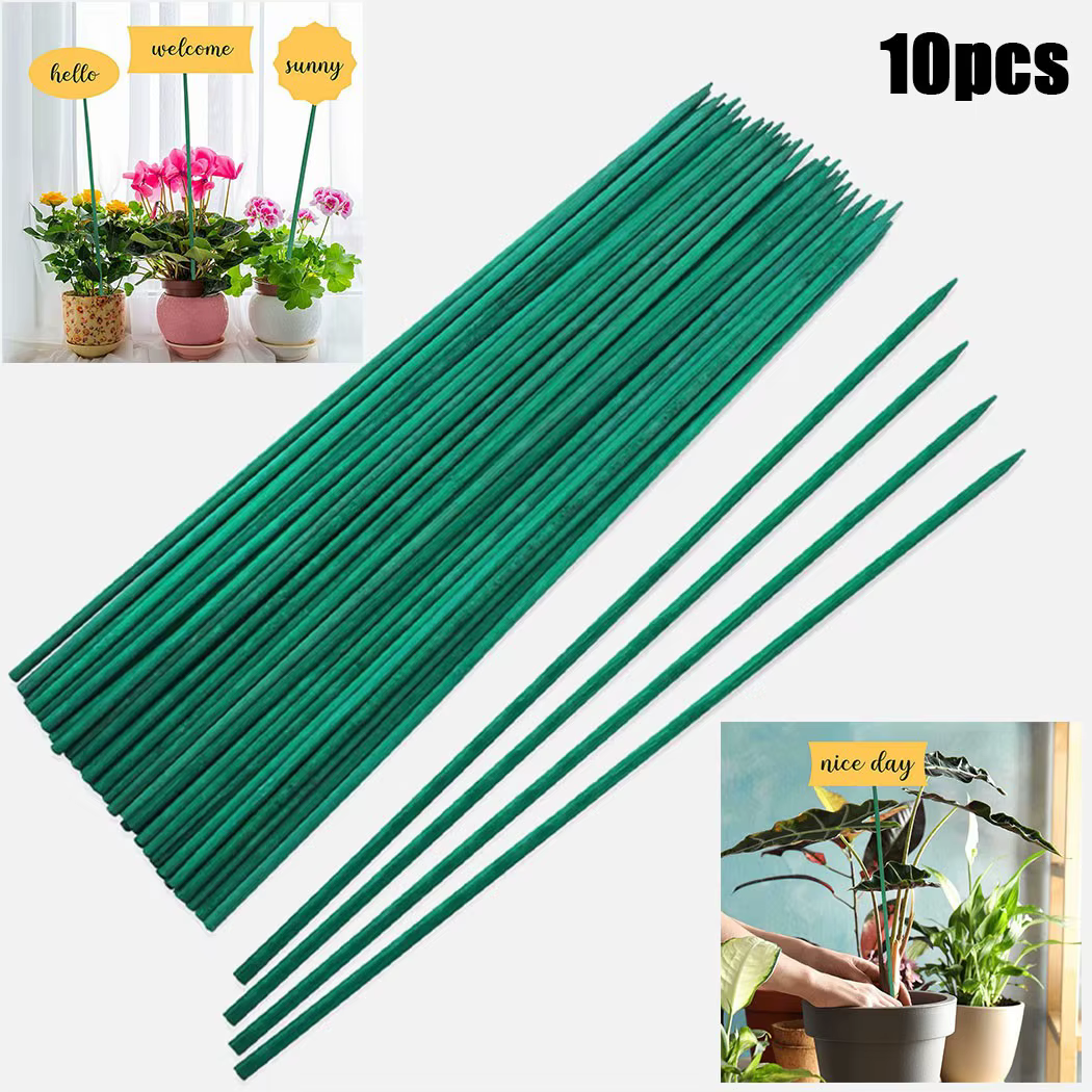 Bâtons de support pour plantes vertes